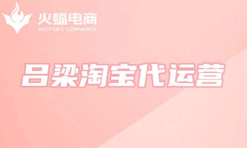 呂梁淘寶代運(yùn)營(yíng) 呂梁淘寶代運(yùn)營(yíng)