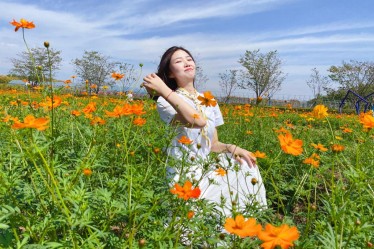 <b>向冉：立志欲堅不欲銳，成功在久不在速</b>